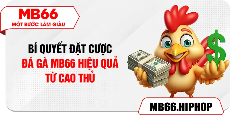 Bí quyết đặt cược đá gà MB66 hiệu quả từ cao thủ