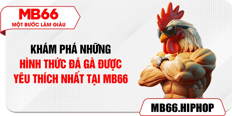 Khám phá những hình thức đá gà được yêu thích nhất tại MB66