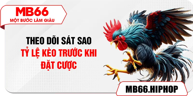 Theo dõi sát sao tỷ lệ kèo trước khi đặt cược