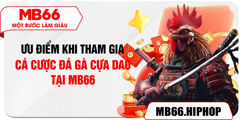 Ưu điểm khi tham gia cá cược đá gà cựa dao tại MB66
